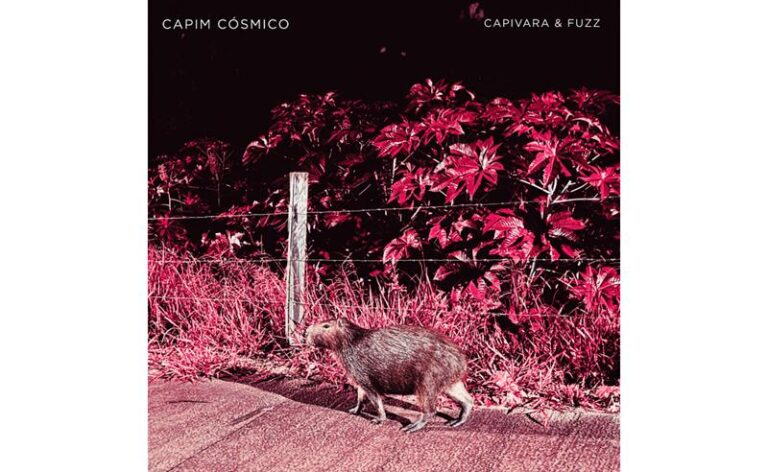 Capim Cósmico mergulha no caos interno e nas distorções noventistas em “Capivara & Fuzz”