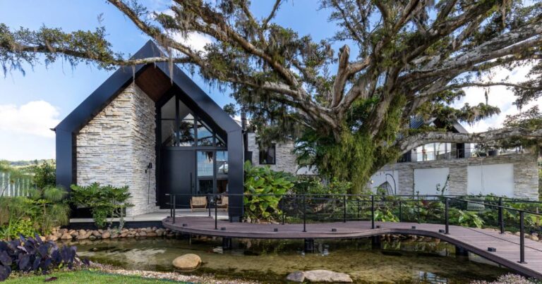 Arquitetura e natureza: conheça a casa de 970m² construída ao redor de uma figueira centenária