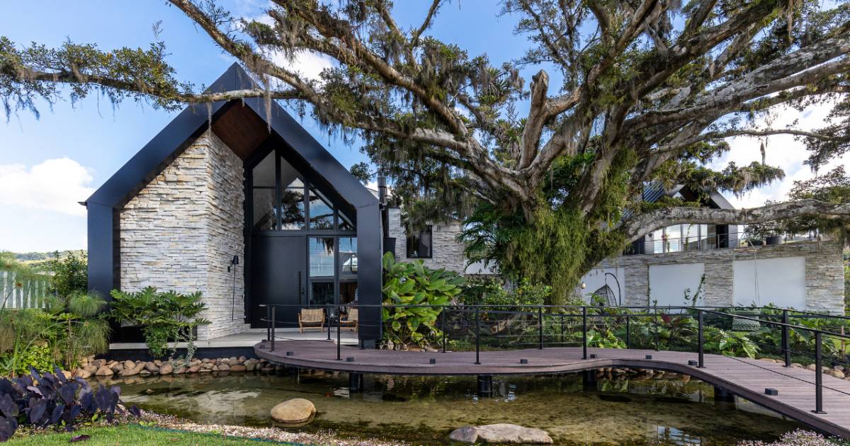 Arquitetura e natureza: conheça a casa de 970m² construída ao redor de uma figueira centenária