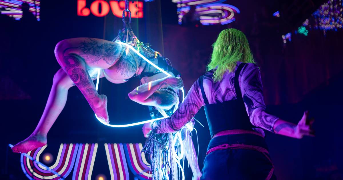 São Paulo recebe três noites de Shibari e performances sensoriais na semana do Dia do Sexo